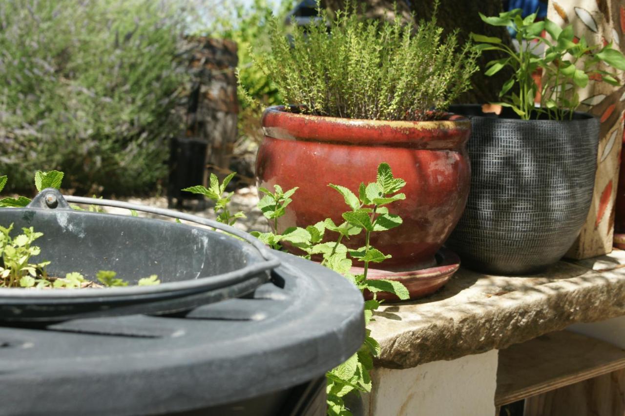 Bed & Breakfast Casa Vitalidad