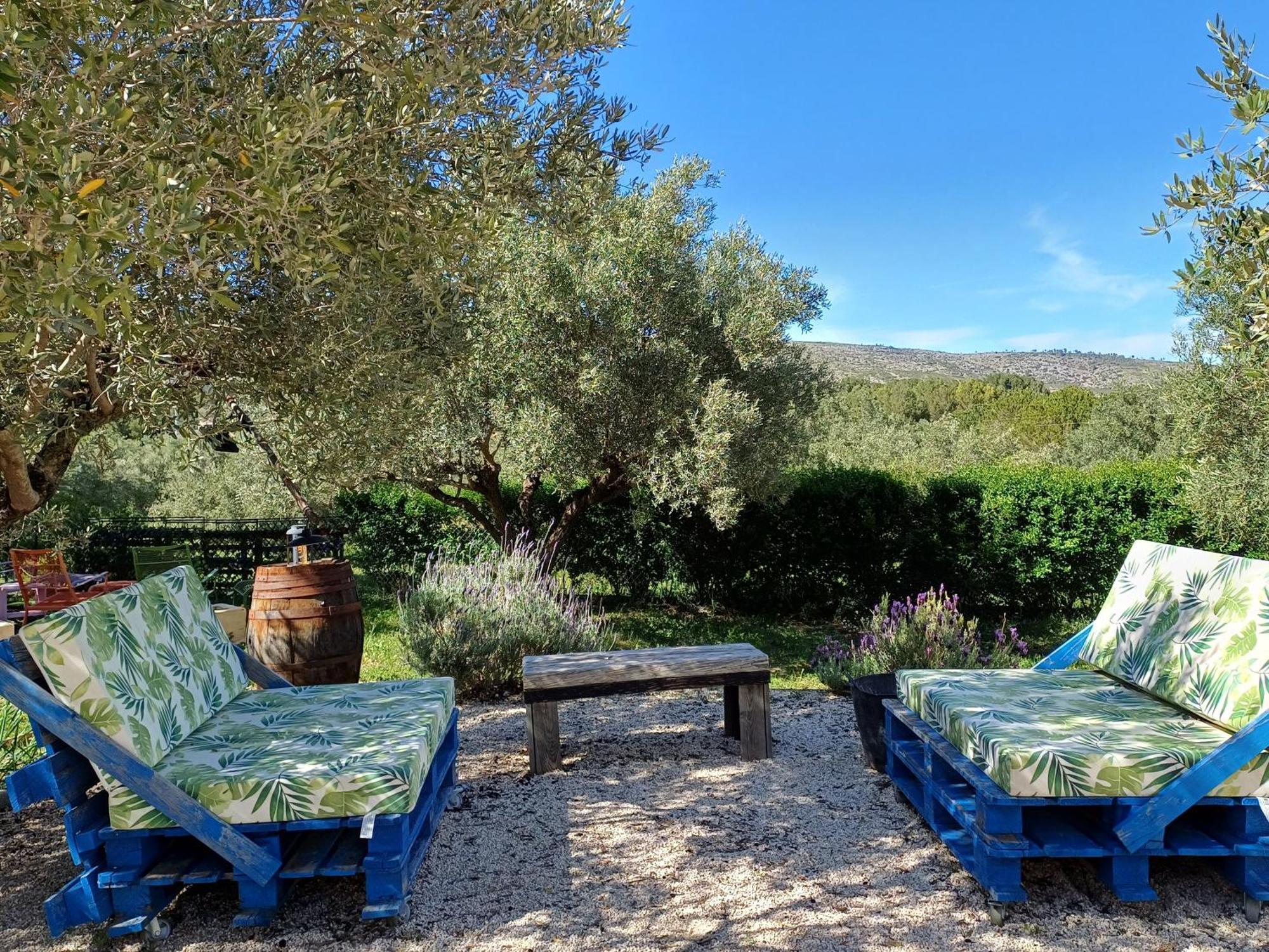 Casa Vitalidad Bed & Breakfast