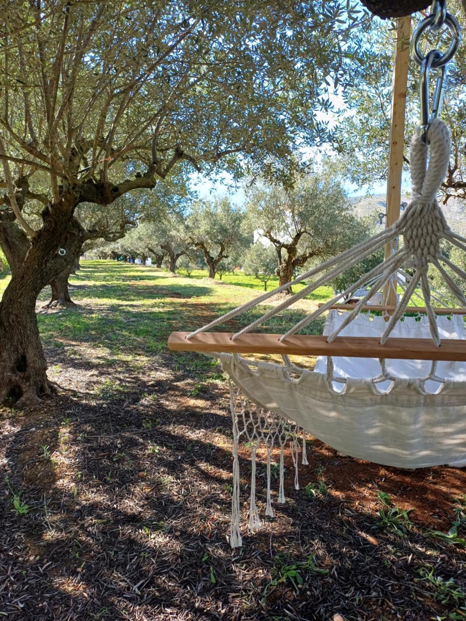 Bed & Breakfast Casa Vitalidad