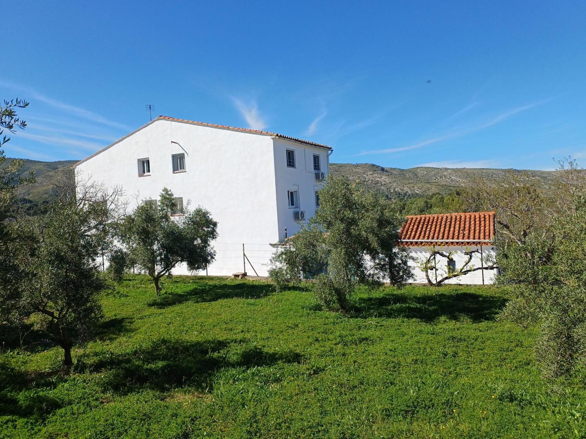 Bed & Breakfast Casa Vitalidad *